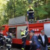 dobravive_2011_44_000.jpg