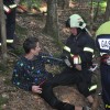 dobravive_2011_28_000.jpg