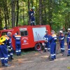 dobravive_2011_12_000.jpg