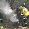 dobravive_2011_30_000.jpg