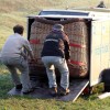 baloni_014.jpg