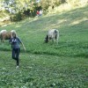 brezje_obnavlja_vasko_koirto001.jpg