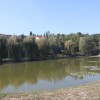 img_3791_000.jpg