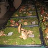 razstava_gob019.jpg