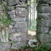 img_1301.jpg