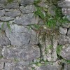 img_1305.jpg