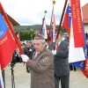 afz41.jpg