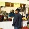 12__praznik_kozjanskega_jabolka021.jpg
