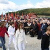 afz64.jpg