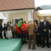 12__praznik_kozjanskega_jabolka012.jpg