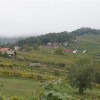 pohod_lurd_154__large_.jpg