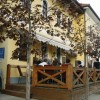 gostilna_slovenija_tudi_repovzu_in_vovku001.jpg