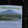 parkiraj_in_osvoji_lisco055.jpg