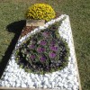 dsc00820_1.jpg