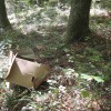 img_9630_000.jpg