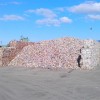 imag0137.jpg