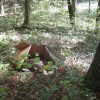 img_9629_000.jpg