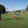 pa152128.jpg