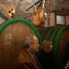 vinski_dvor_deu_malkovec029.jpg