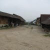jelse_001.jpg