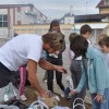 peka_kostanja12_10_11_044.jpg