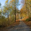 img_1700.jpg