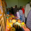 imgp0622_000.jpg