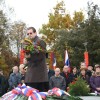 cvibelj36.jpg