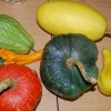 dsc_0017_000.jpg