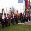 cvibelj06.jpg