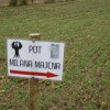 2__pohod_po_poteh_milana_majcna_in_70_let_boja_v_murnicah010.jpg
