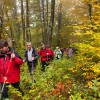 img_1843.jpg