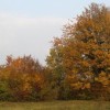 img_0090_1_.jpg