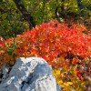 img_1971.jpg