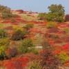 img_1996.jpg