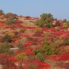 img_1987.jpg