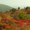 img_2020.jpg