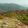 img_2030.jpg
