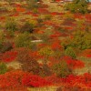 img_1953.jpg