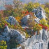 img_1969.jpg