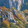 img_1994.jpg