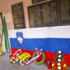 imgp0700_000.jpg