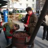 img_3167_000.jpg