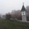 stara_trta_in_jesenske_meglice__2_.jpg