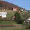 zabukovljani_pri_sv__juriju_tudi_za_obnovo_cerkve_2011_035.jpg
