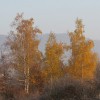 img_2268.jpg