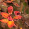 img_2287.jpg