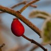 img_2261.jpg