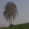 img_2323.jpg