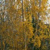 img_2288.jpg